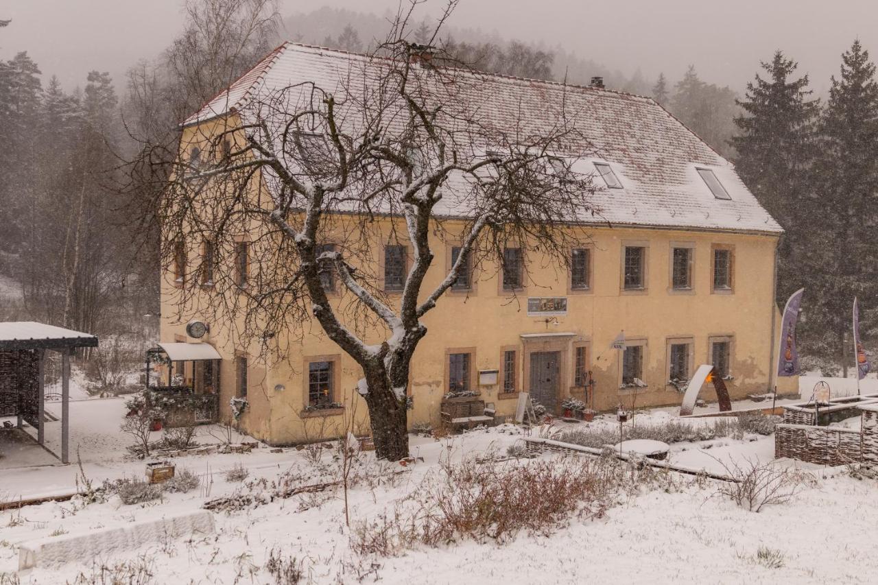 Apartmán Holzwerk Oybin Exteriér fotografie