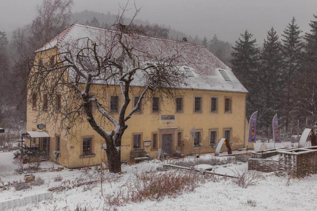 Apartmán Holzwerk Oybin Exteriér fotografie